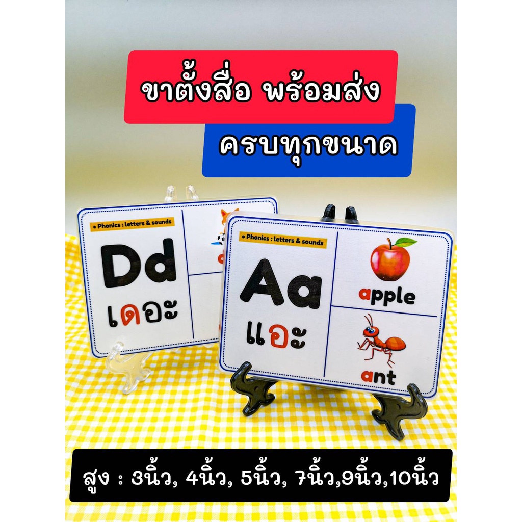 ขาตั้งสื่อพร้อมตะแกรง (พร้อมส่ง)  โชว์สื่อการสอน โชว์สินค้า ตะแกรงขนาด 60*120 cm