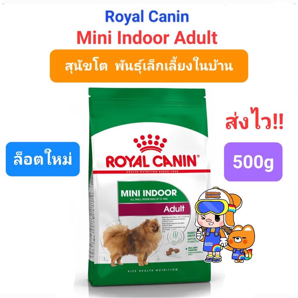 Royal Canin Mini Indoor Adult 500g Exp.10/25 โรยัลคานิน รอยัลคานิน สุนัขโต พันธุ์เล็ก เลี้ยงในบ้าน ถุงขนาด 500 กรัม