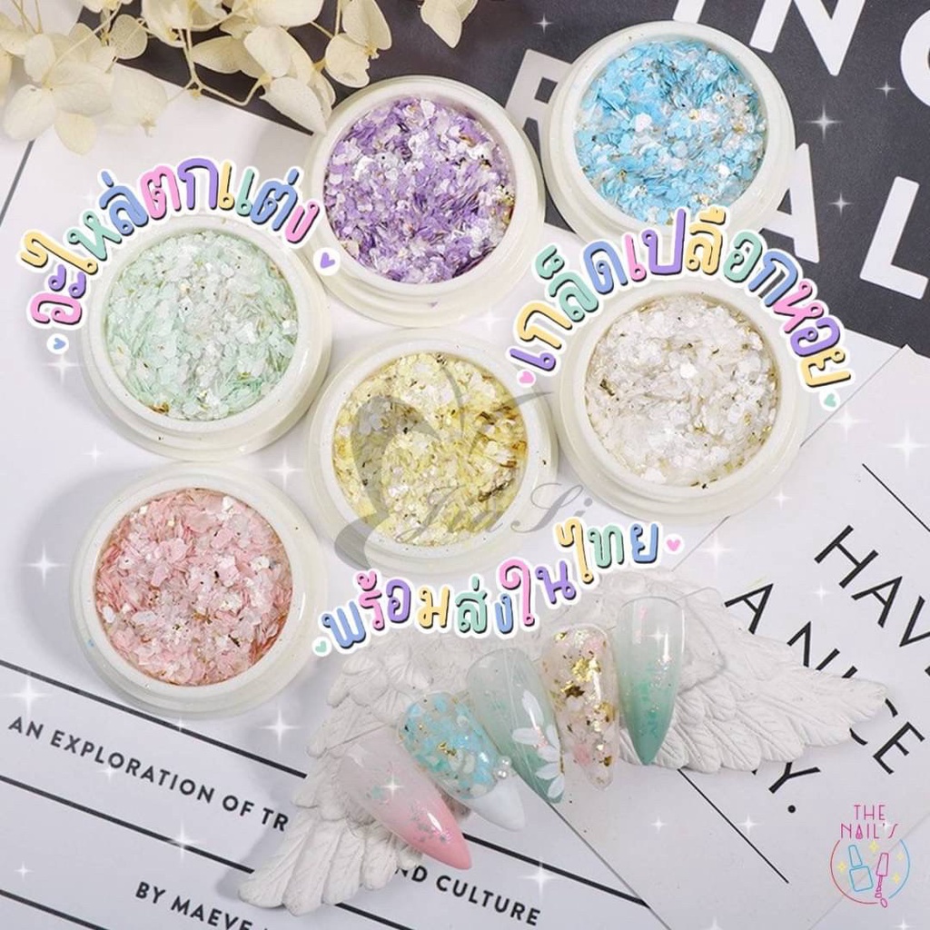 พร้อมส่ง อะไหล่สำหรับติดเล็บ เกล็ดเปลือกหอย 6ช่อง อะไหล่ตกแต่งเล็บ เปลือกหอย
