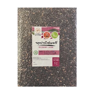 🌾จมูกข้าวไรซ์เบอรร์รีปลอดสาร ข้าวใหม่ ตราไก่สีทอง แพคสูญญากาศ 1 KG ข้าวทำโจ๊ก ข้าวเด็ก