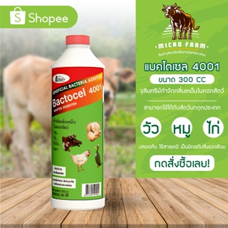 Bactocel 5001 แบคโตเซล 5001 300 ml. 12-24 ขวด จุลินทรีย์รักษาสภาพน้ำในบ่อปลา จุลินทรีย์น้ำใส น้ำใส น้ำมีกลิ่นเหม็น