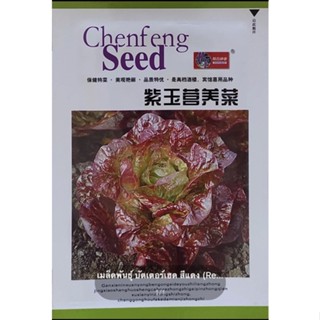 เมล็ดพันธุ์ บัตเตอร์เฮด สีแดง (Red Butterhead Seed) บรรจุ 2500 เมล็ด