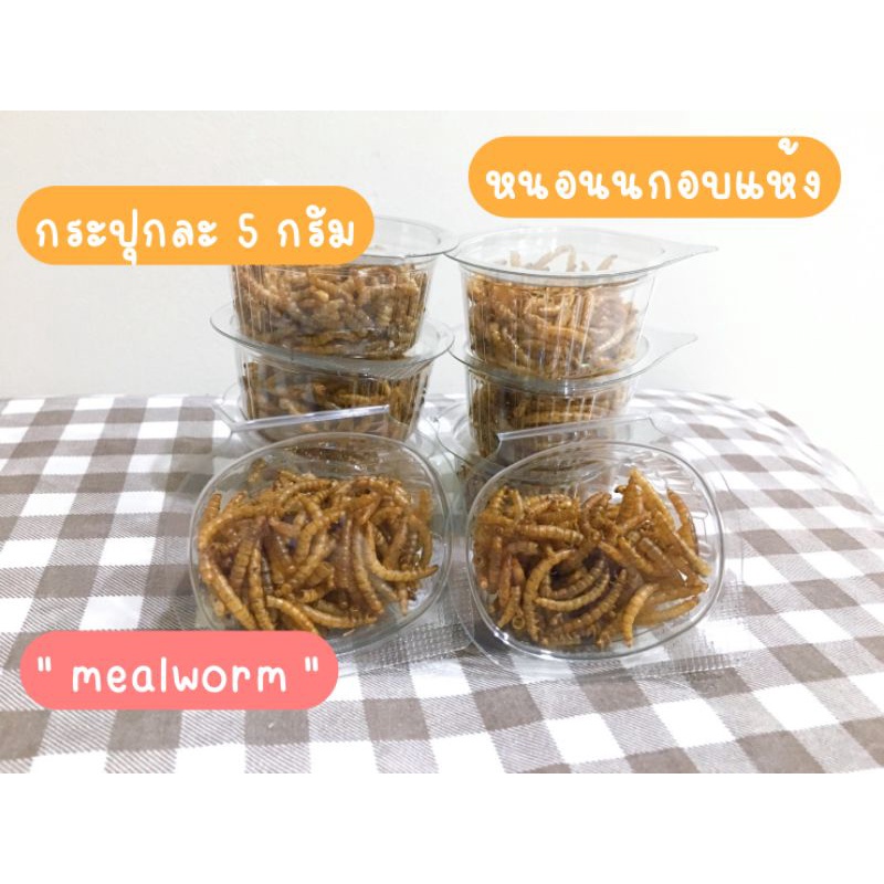🍒 หนอนนกอบแห้ง (กระปุกถ้วย 2 ออนซ์) ขนาดทดลอง (ขนมอาหารสัตว์ฟันแทะแฮมสเตอร์ ชูก้าไรเดอร์ เม่นแคระ ดอเม้าส์)