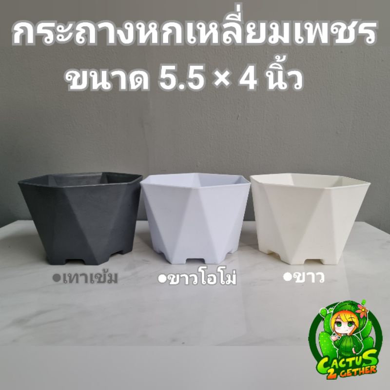 กระถางหกเหลี่ยมเพชร ขนาด5.5"×4"