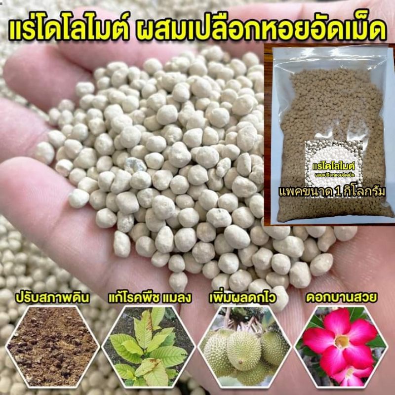 แร่ไดโลไมต์+เปลือกหอยนางรมบด อัดเม็ด (1กก.)