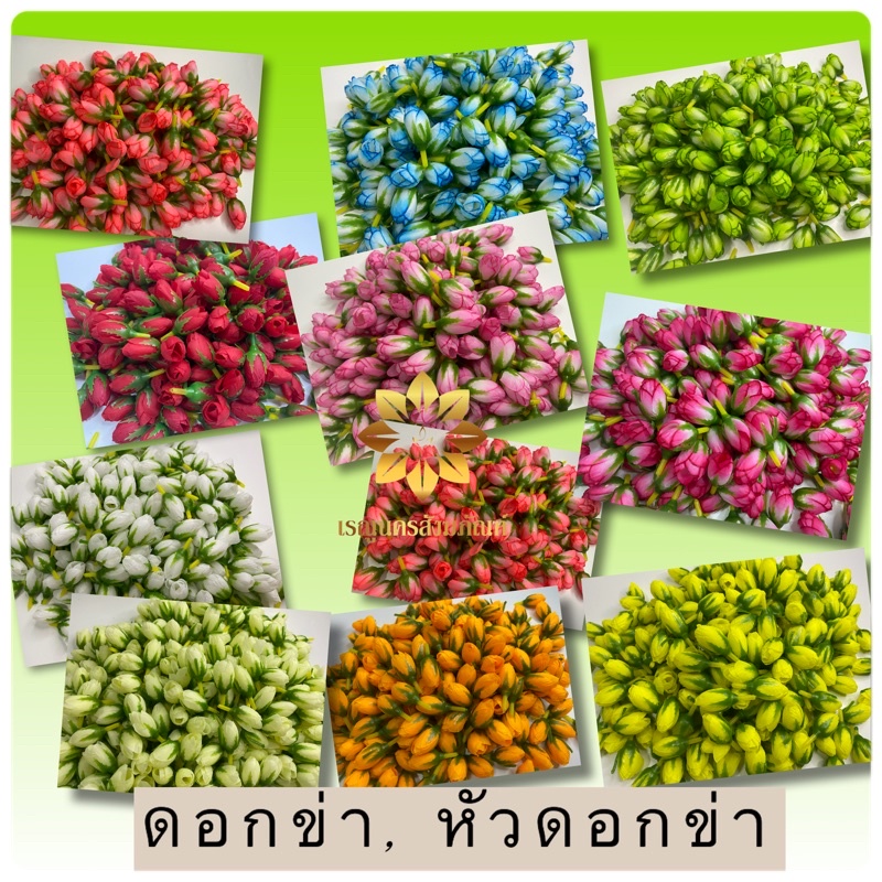 TMQR ดอกข่า หัวดอกข่า ดอกไม้ร้อยอุบะ ร้อยอุบะ