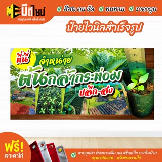 ฟรี เจาะตาไก่ ป้ายร้าน ป้ายไวนิลจำxน่ายต้นกล้ากระn่อม สีคมชัด ทนทาน ราคาถูกกกกก