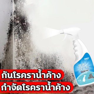 เชื้อราไม่ขึ้นอีก！！！500ml กำจัดเชื้อรา สเปรย์กำจัดเชื้อรา น้ำยากำจัดเชื้อรา 2 นาทีเห็นผล ปลอดภัยต่อสิ่งแว