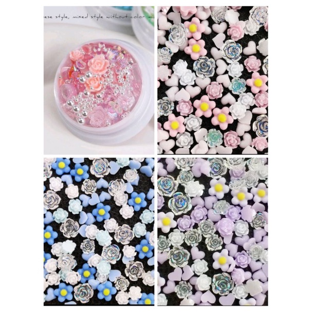 ดอกคาเนเมียรวม 4 สีให้เลือกพร้อมส่งจากไทย