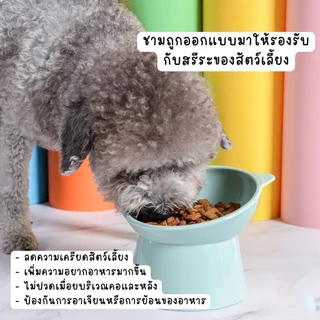 [EGG] ชามอาหารสัตว์ ชามอาหารแมว ชามอาหารสุนัข หลายสี ขนาด11.5*13.7cm 15°พื้นเอียงป้องกันกระดูกสันหลัง ความคงทน สีลูกกวาด