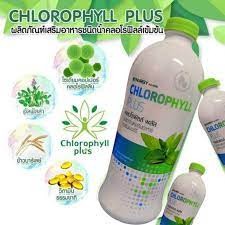 Synergy CHLOROPHYLL PLUS ซินเนอร์จี้ คลอโรฟิลล์ พลัส ของแท้ สินค้าโนเบล​ คลอโรฟิลล์ที่ดีที่สุด​ โฉมใหม่ขวดขาวทั่วโลก