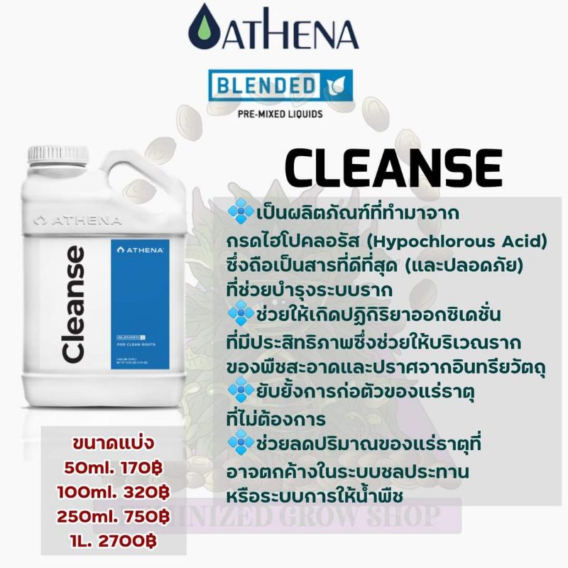 Athena Cleanse​ ปุ๋ยบำรุงราก