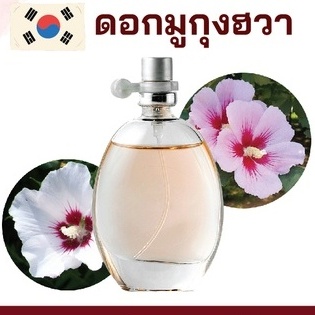 สารให้ความหอม กลิ่นดอกมูกุงฮวา ขนาด 30 cc. หัวเชื้อน้ำหอม