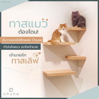 Chuno ชั้นแมว แผ่นแมวยืนติดผนัง (CAT WALL SHELF) สำหรับท คอนโดแมว บันไดแมว