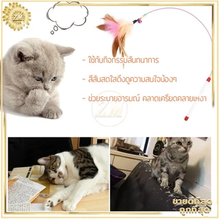 ไม้ล่อแมว ไม้ตกแมว ของเล่นแมว สายยาว 66 ซม. ไม้ตบแมว รุ่นปอมปอม มีกระดิ่ง/ ไม้แมว ขอเล่นแมว ไม้แมว ยาวสุด ไม้ตกแมวขนนก