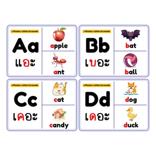 แฟลชการ์ด บัตรคำโฟนิค สื่อการเรียนรู้ภาษาอังกฤษ พัฒนาการเรียนรู้