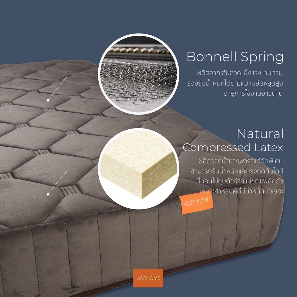 ZEN Collection ที่นอ