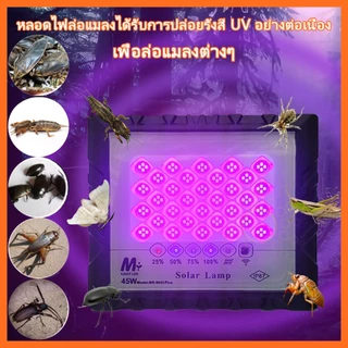 ไฟล่อแมลง ไฟโซล่าเซลล์ ไฟสปอตไลท์ แสงสีม่วง spotlight Flood light Plus 45W LED หลอดไฟล่อแมลง Black light