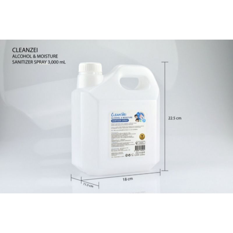 Cleanzei Alcohol & Moisture Sanitizer Spray
