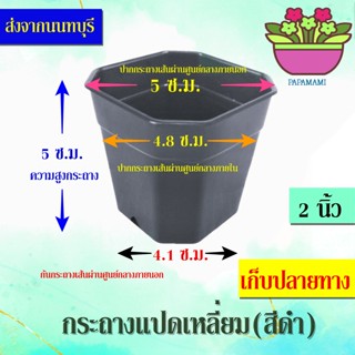 (20-100ใบ) papamami กระถางพลาสติก กระถางดำ แปดเหลี่ยม 2นิ้ว กระถางปลูกต้นไม้ กระถางต้นไม้ ที่ปลูกต้นไม้ กระถางแค็คตัส