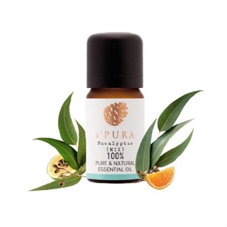 aPURA น้ำมันหอมระเหย กลิ่นยูคาลิปตัส  Eucalyptus Blended Essential Oil (10ml)