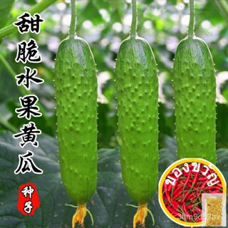 เมล็ดผลไม้แตงกวา10ชิ้น/ไม้จันทน์/ผ้าไมโครไฟเบอร์ cumber เซลต์/ จัดส่งรวดเร็ว/เล็ก/หัวโค้ง/สร้อยข้อมือ/สาก/ชุดชั้นใน/ชุดช