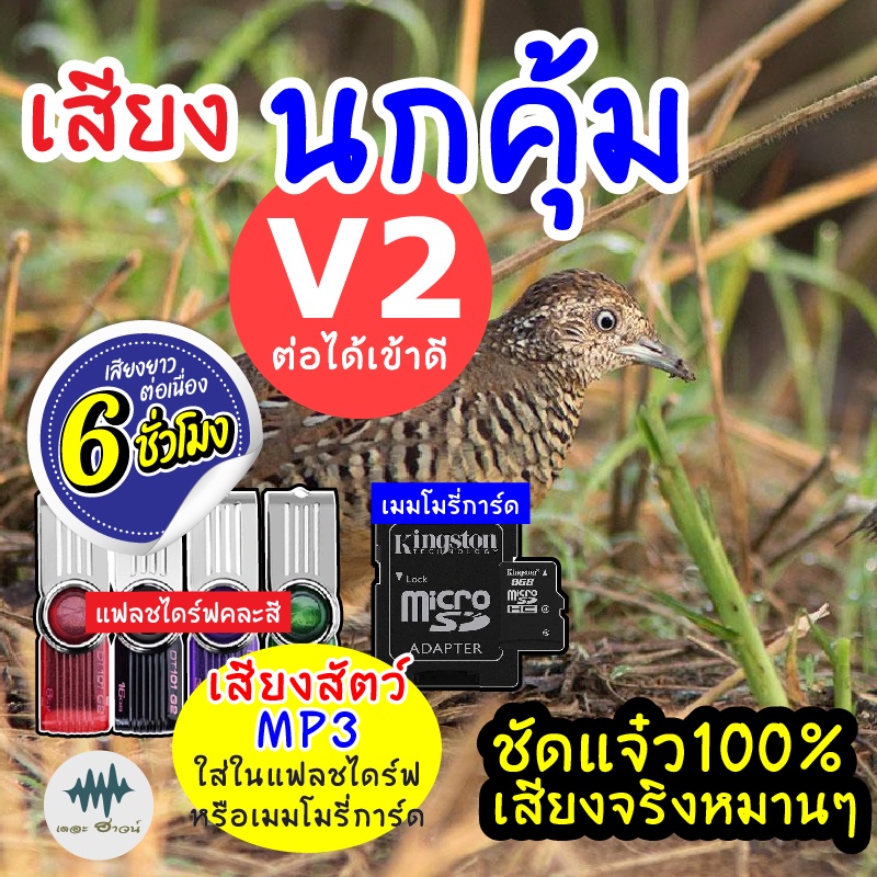 (MP3 เสียงต่อสัตว์) เสียงนกคุ้มอืด V.2 [6ชั่วโมง] ใส่แฟลชไดร์ฟ/เมมโมรี่ มีเก็บเงินปลายทาง เสียงดี ชั
