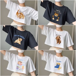 เสื้อครอป เสื้อลายสัตว์ animal ลายน้องหมา น้องแมว มินิมอล แฟชั่น สไตล์เกาหลี crop เอวลอย