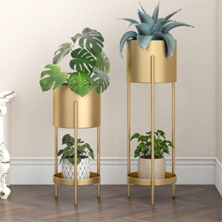AjuShop-DELICATO ชั้นวางกระถางต้นไม้ รุ่น TY03GD   ขนาด 23*23*75.5ซม.  สีทอง