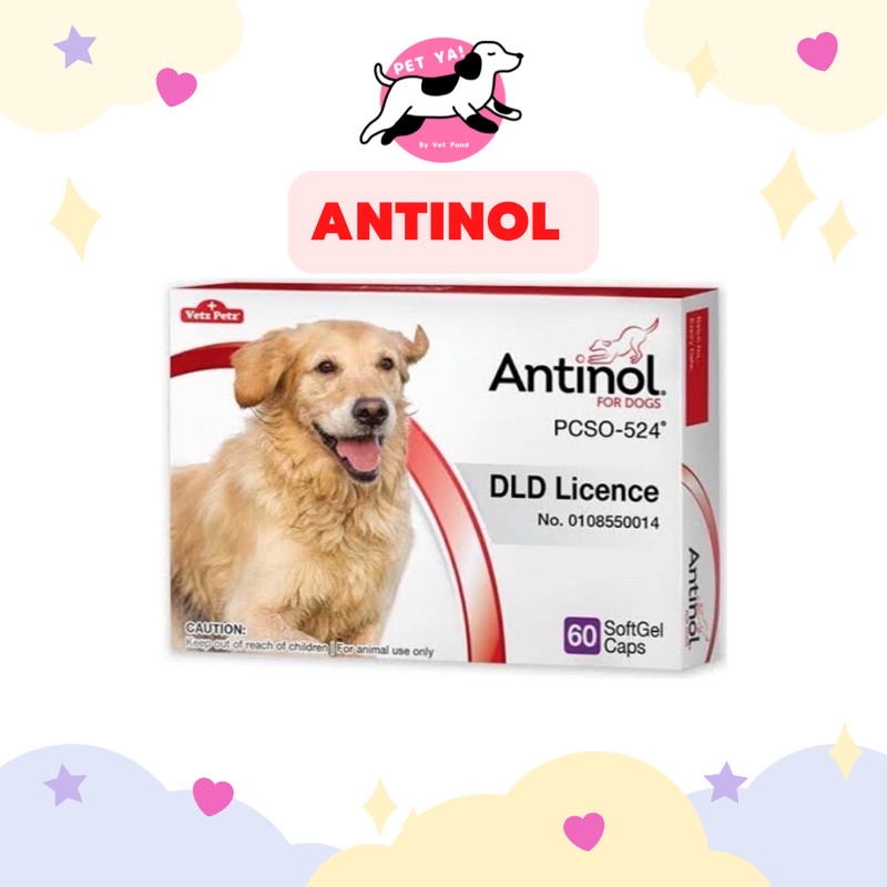 Antinol ยาบำรุงข้อหมาแมว