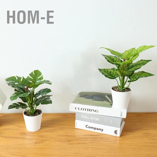 Hom-E Simulated Plant Bonsai Lifelike Decorative Indoor Artificial Potted Plants for Home