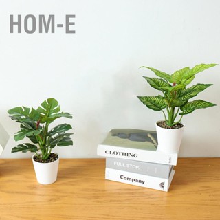 Hom-E Simulated Plant Bonsai Lifelike Decorative Indoor Artificial Potted Plants for Home