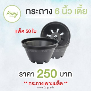 50 ใบ กระถางต้นไม้ กระถางพลาสติก กระถางทรงเตี้ย ทรงชาม 6x3 นิ้ว  (เพาะเมล็ด)