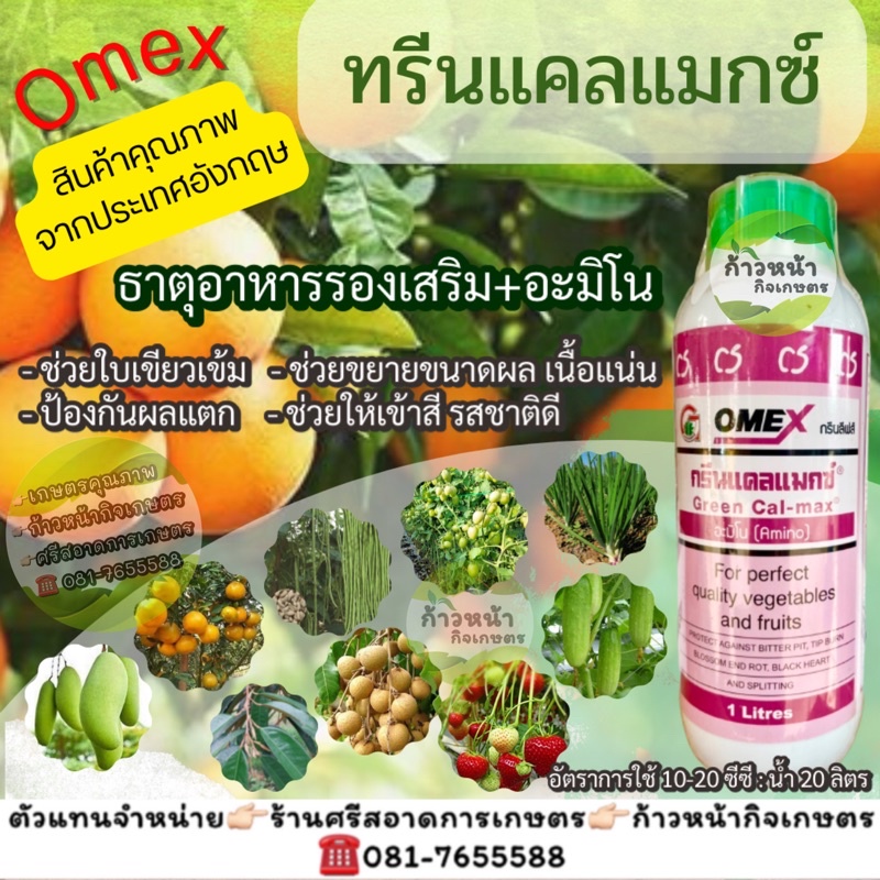 ทรีนแคลแมก อะมิโน ธาตุอาหารรองเสริม อะมิโน ช่วยใบเขียวเข้ม ขยายขนาดผล สีสวย รสชาติดี ป้องกันผลแตก เถา หรือฝักแตก