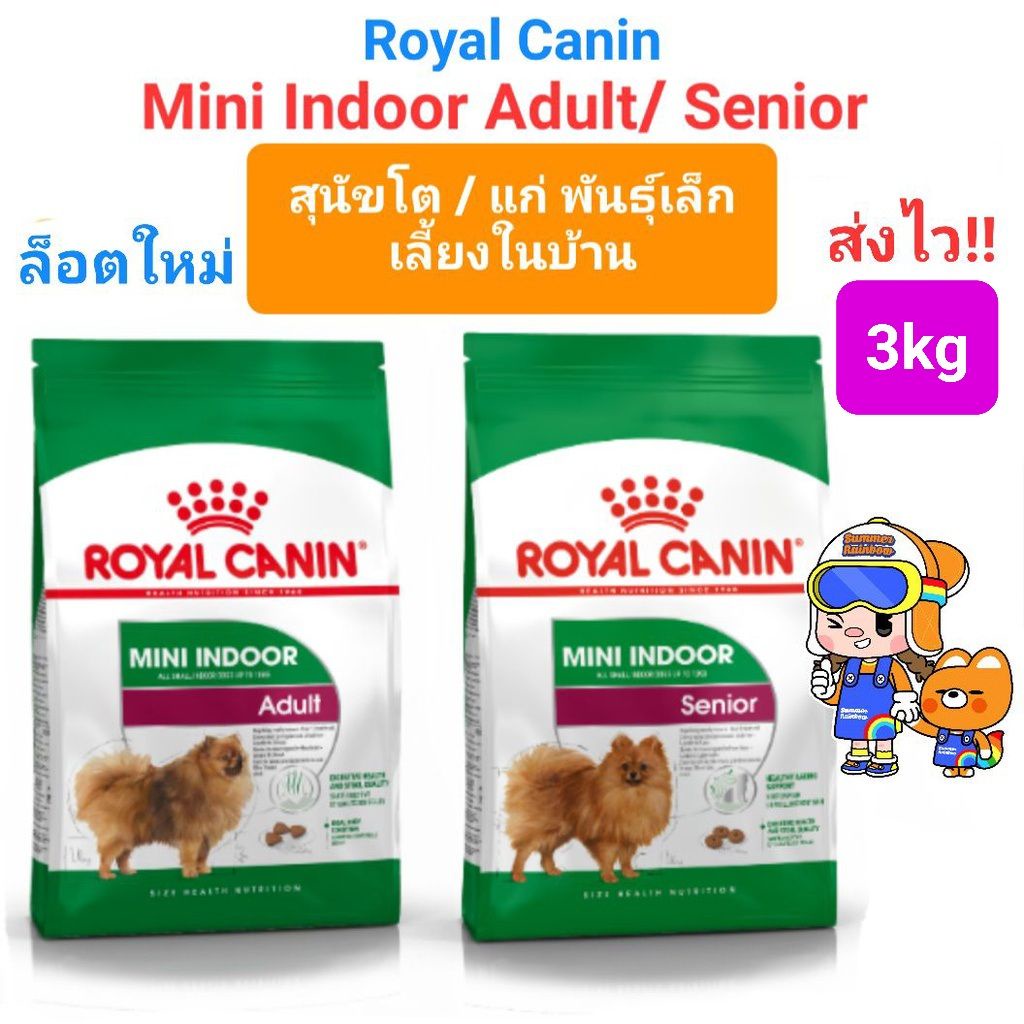 Royal Canin Mini Indoor Adult 3kg / Mini Indoor Senior 3kg โรยัลคานิน สุนัขพันธุ์เล็ก เลี้ยงในบ้าน