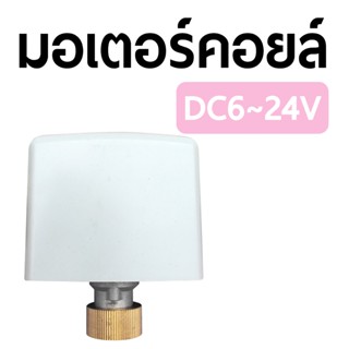 มอเตอร์คอยล์ DC6~24V คอยล์สำหรับมอเตอร์วาล์ไฟฟ้า