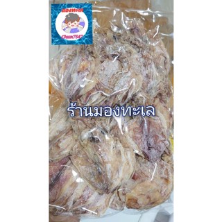 ปลาหมึกแบนไซค์A6 ขนาดนำ้หนัก 200 - 500กรัม