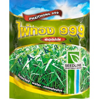 เมล็ดผักบุ้ง ไผ่ทอง 999 1 kg ผักบุ้ง ใบไผ่ SEEDLINE กอแน่น ต้นตรง ใบสวย ความงอก90% ของใหม่