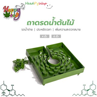 Grow cap ถาดรองดินรดน้ำทำให้รดได้ซึมทั่วหน้าดิน ได้ทั้งดินและ Hydroponics Rockwools ขนาด 6/ 8นิ้ว Grow Garden Flora Flex