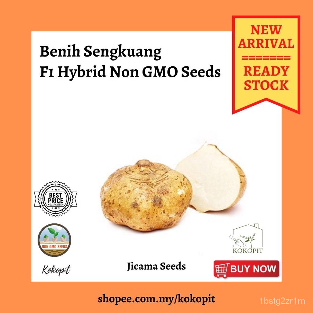 ราคา11 rm9.88 New arrivalready Stock jicama SEED/bijbil/ดอกไม้/สวน/ดอกทานตะวัน/ดอกไม้/หัง/ข้าวโพด/ส 