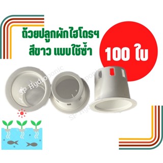 ถ้วยปลูกสีขาว 100 ใบ