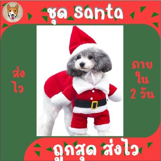 ชุดคริสต์มาส Christmas ชุด Santa ซานต้า หมวกซานต้า ซานตี้ หมา แมว สุนัข cat dog pet สัตว์เลี้ยง เสื้อสัวต์เลี้ยง M038