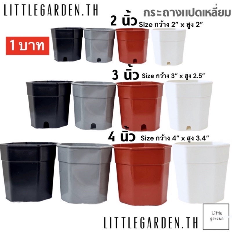 ซื้อ Little กระถางแคคตัส กระถางแปดเหลี่ยม 2 นิ้ว 3 นิ้ว 4 นิ้ว (สีดำ สีขาว สีอิฐ สีเทา)