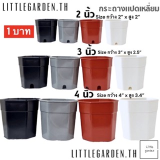 Little กระถางแคคตัส กระถางแปดเหลี่ยม 2 นิ้ว 3 นิ้ว 4 นิ้ว (สีดำ สีขาว สีอิฐ สีเทา)