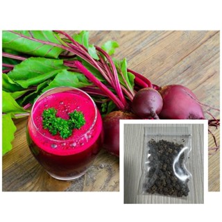 คุณภาพสูง เมล็ด/เมล็ดพันธุ์ หัวบีทรูท ดีทรอย (Detroit Dark Red Beet) บรรจุ 100 เมล็ด/ขายดี พันธุ์ อินทรีย์ MRBL
