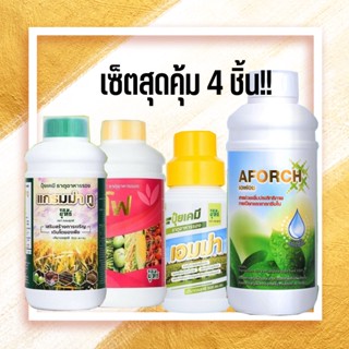 แกรมม่าทู 500ซีซี ปุ๋ยน้ำซีโฟ 500ซีซี ปุ๋ยน้ำเอมม่า 500ซีซี เอฟอช Aforch 1000 ซีซี เซ็ตสุดคุ้ม