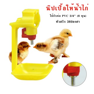 All About Pet นิปเปิ้ลให้น้ำไก่ หัวสวิง 360 องศา นิปเปิ้ลอัตโนมัติ รุ่นขาตรง สีเหลือง หัวนิปเปิ้ล+ถ้วยรอง