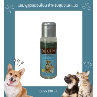 Paully Hypo-Allergenic Shampoo แชมพูสูตรอ่อนโยน สำหรับสุนัขและแมวผิวง่าย