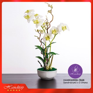 Handitop แจกันดอกไม้ประดิษฐ์ กล้วยไม้เดนโดรเบียม Dendrobium1 ในแจกันเซรามิค มี 6 สีให้เลือกใช้ สินค้าพรีเมี่ยมเกรด