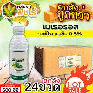 🌽 💥💥 สินค้ายกลัง 💥💥 เมเธอรอล (อะมิโนแอซิด) 1ลัง500ซีซี*24ขวด แตกยอดใหม่ ขยายผล ฟื้นต้น